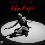 Στίχοι: Λένα Ζευγαρά – «Χίλια Πρέπει»