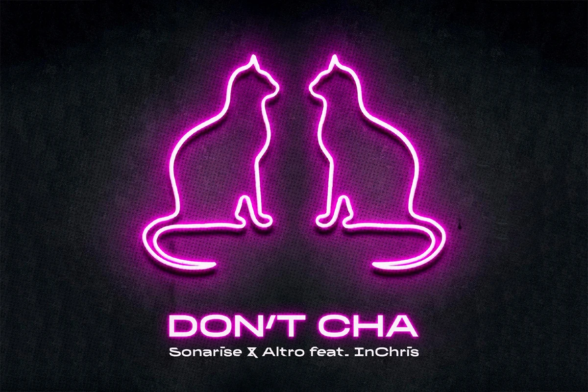Sonarise & Altro μεταμορφώνουν το «Don’t Cha» των Pussycat Dolls σε ένα επικό banger