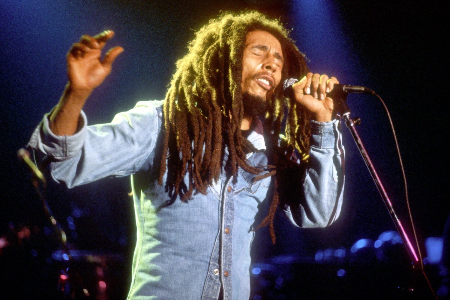 Bob Marley: Σε δημοπρασία τούφα από τα μαλλιά του για απίθανη τιμή