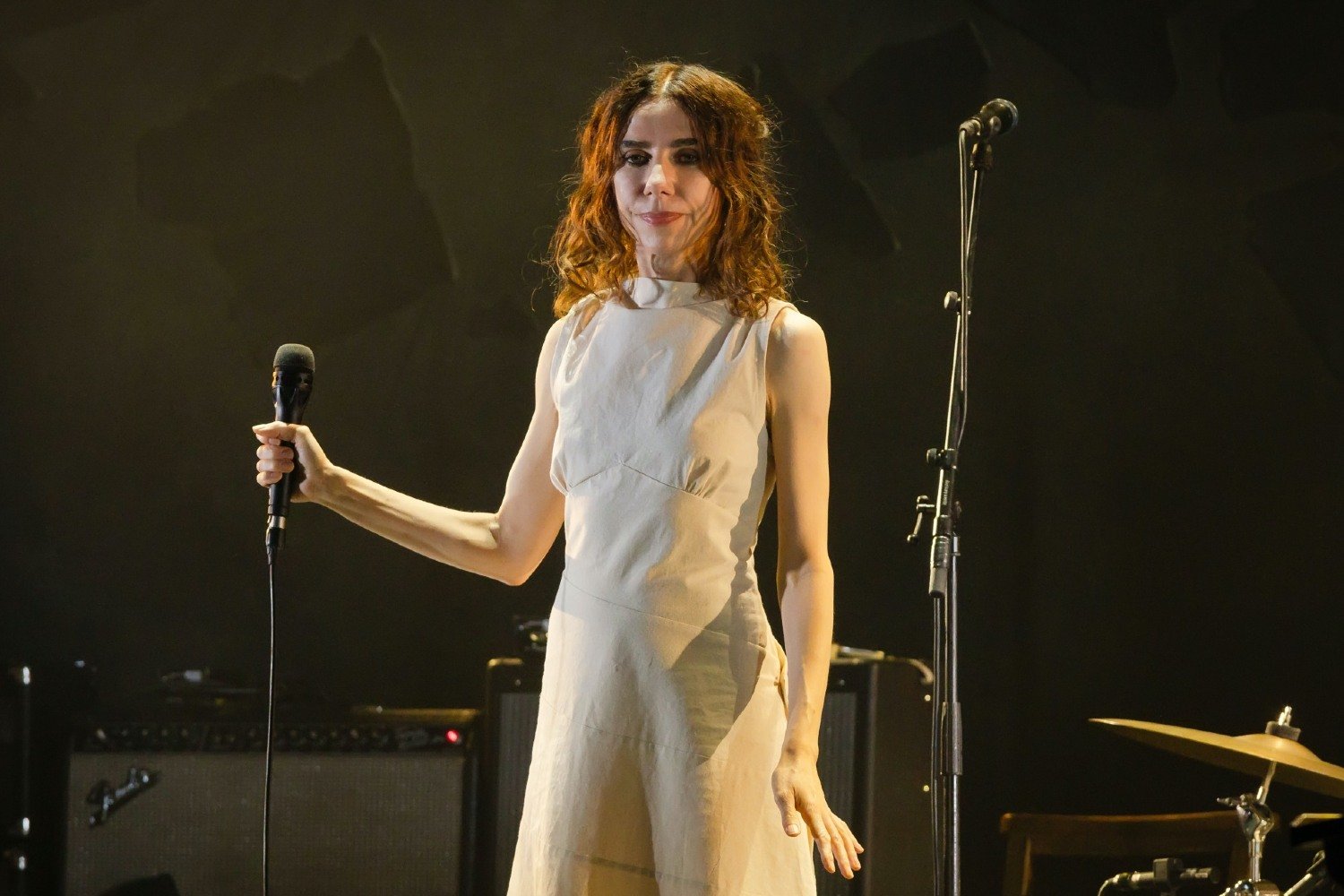 Η PJ Harvey αποχαιρετά τον Steve Albini: «Άλλαξε την πορεία της ζωής μου»