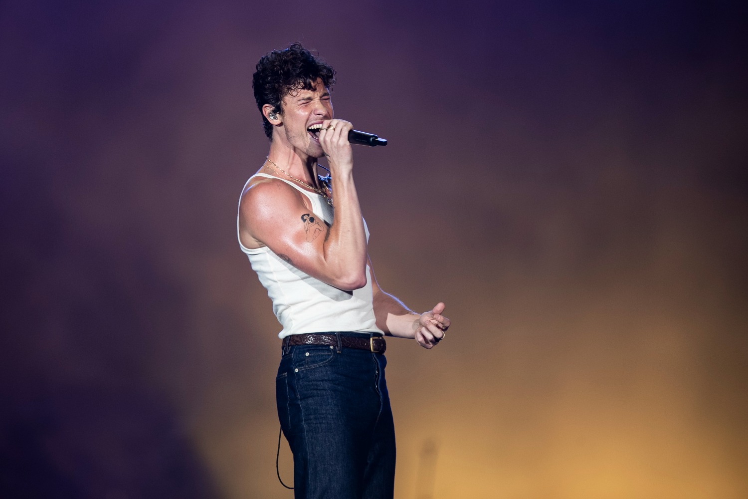 Shawn Mendes: Μία βραδιά στους κινηματογράφους «για φίλους μόνο»