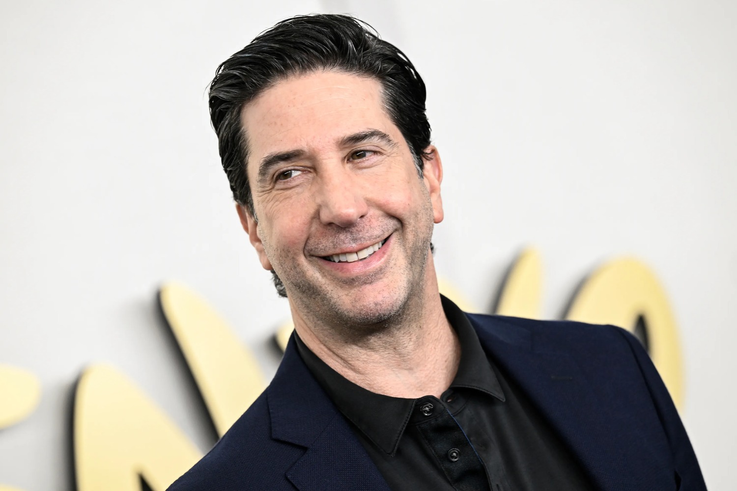 Ο David Schwimmer απεχθανόταν για χρόνια το τραγούδι τίτλων από «Τα Φιλαράκια»