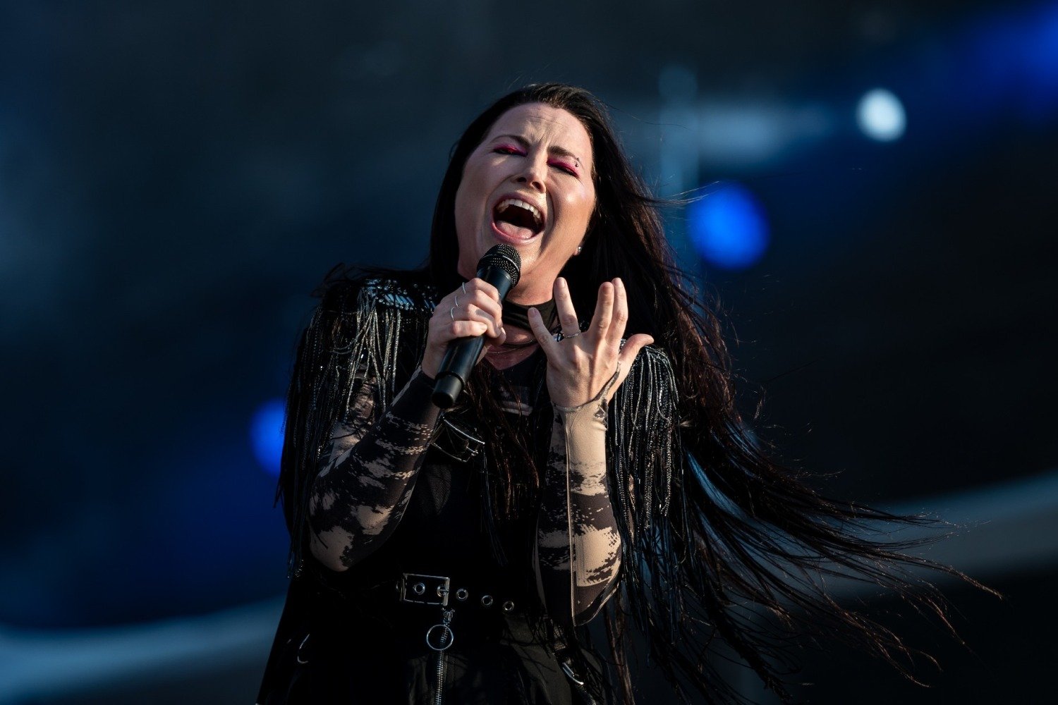 Η Amy Lee των Evanescence έχει μόνο ένα τατουάζ και είναι εμπνευσμένο από δημοφιλές videogame